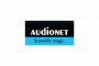 Appraisal Contract: Asset Valuation of IDEKTRON Unternehmens- und Technologieberatung GmbH (Audionet), Business and Technology Consulting,