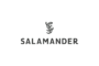 Appraisal Contract: Evaluation of the Mobile Assets of Salamander Deutschland GmbH & Co. KG