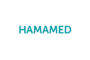 Appraisal Contract: Evaluation of the Mobile Assets of Hamamed GmbH